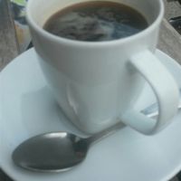 Americano at Cranberry Swamp in Whitby