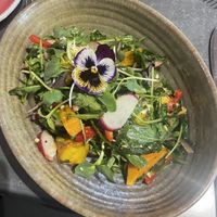 Pumpkin and vegan feta salad with toasted seeds  at Cafe Ambience in Gore
