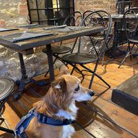  at Ciriera Osteria Vegan in Trequanda