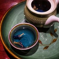 Butterfly pea tea at V's Home in Hanoi
