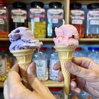 Blueberry and strawberry sorbets   at The Ice Cream Shop in Cullen