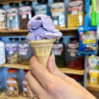 Blueberry sorbet   at The Ice Cream Shop in Cullen