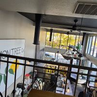  at Lemon Tree in Boise