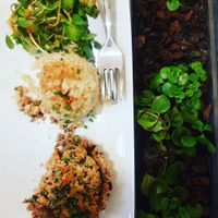 Vegan & macrobiotic at Solo in Lisbon