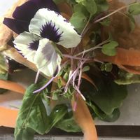 Vegan tacos  at Cantina Teguise in Lanzarote