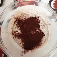 Vegamisù at Veg Joy in Rome