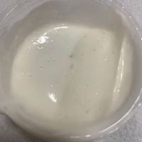 Salsa aioli at Veg Joy in Rome