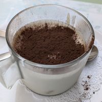 Vegemisu at Veg Joy in Rome