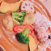 Vegetable curry and rice  at Futaba Fruits Parlor in Tokyo