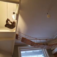 Wolfje initial position at Kattencafé Balthazar in Nijmegen