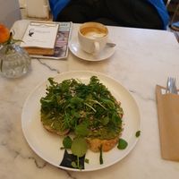 'Avocado en zeekraal' with the bread from Streekbakker Jorrit at Kattencafé Balthazar in Nijmegen