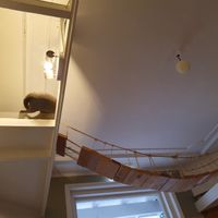 Wolfje changed position at Kattencafé Balthazar in Nijmegen