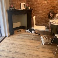 Gezellige sfeer   at Kattencafé Balthazar in Nijmegen