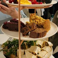  at Kattencafé Balthazar in Nijmegen