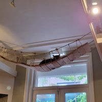  at Kattencafé Balthazar in Nijmegen