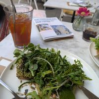  at Kattencafé Balthazar in Nijmegen