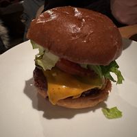   at Vegolution in Saint John