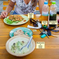 Some dishes at Pun Pun Organic Vegetarian Restaurant - Wat Suan Dok in Chiang Mai