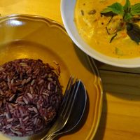 yellow curry and rice at Pun Pun Organic Vegetarian Restaurant - Wat Suan Dok in Chiang Mai