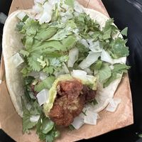 Masa cauliflower taco  at Screaming Goat in Sarasota