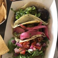 Vegan chorizo (w tomatoes and spinach), curried sweet potato, and black bean falafel craft tacos served as they come. Delicious and quaint taqueria!! at Screaming Goat in Sarasota