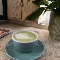   at Cogito Coffee Shop in Dubrovnik