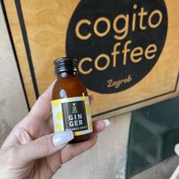   at Cogito Coffee Shop in Dubrovnik