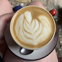   at Cogito Coffee Shop in Dubrovnik