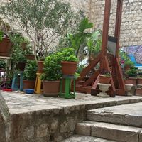   at Cogito Coffee Shop in Dubrovnik