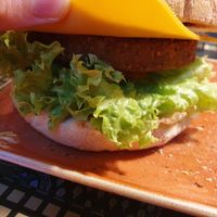 was not impressed with the burger at Peter Pane in Vienna