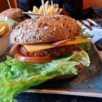  at Peter Pane in Vienna