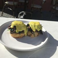 Vegan Benedict - dogs welcome outside (they’ll even get treats) at Cafe Miro in Christchurch