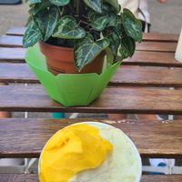 Lemon, pineapple, and mango at Cantina del Gelato in Florence