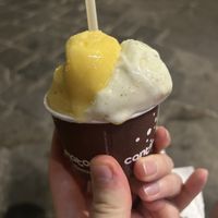 passion fruit / pineapple, mint, and ginger  at Cantina del Gelato in Florence
