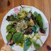 Orzo at Itsy Bitsy in Lille