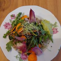 Quinoa at Itsy Bitsy in Lille