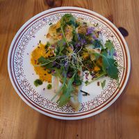 Gyoza at Itsy Bitsy in Lille