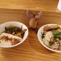 Aubergine curry (left) and bun-bo (right). (Mr Moose approves this food) at Herbosaurus in Rennes