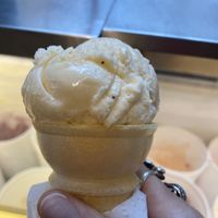 Vegan lemon poppyseed GF at Orange Cycle Creamery in Tarpon Springs