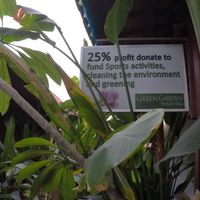 These guys are really trying at Green Garden in Lembongan