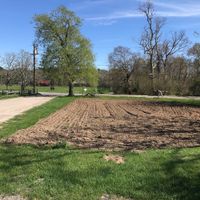 Driveway and farm plot at Ghost Island Farm in Vineyard Haven