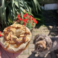 Miso caramel doughnut   at Glazed in Newcastle Upon Tyne