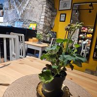  at Purée Health Bar in Tallinn