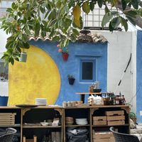   at Natural Pau in Ibiza