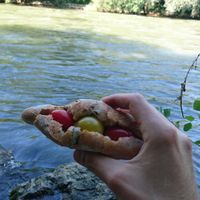 Breakfast with organic whole-grain bread with fresh vegetables bought from farmers market at the Mur riverside at Waldherr in Graz