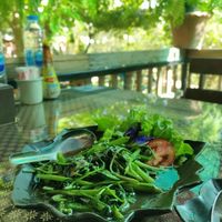  at Suan Eakaparp Vegetarian - สวนเอกภาพ อาหารเจ素食餐廳 in Pattaya