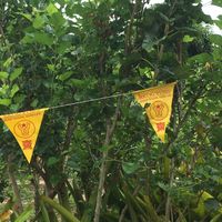 Organic berries  at Suan Eakaparp Vegetarian - สวนเอกภาพ อาหารเจ素食餐廳 in Pattaya