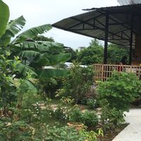 Organic garden at Suan Eakaparp Vegetarian - สวนเอกภาพ อาหารเจ素食餐廳 in Pattaya