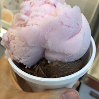Vegan strawberry and chocolate ice cream at Heavenly Havens Creamery in Allentown