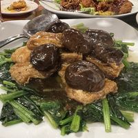 Spinach with braised beancurd 8/10  at New Fut Kai Vegetarian 新佛界素食 in Central Singapore